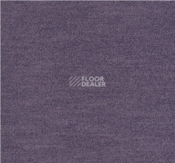 Ковровая плитка Interface Polichrome Solid 4266020 Viola фото 1 | FLOORDEALER